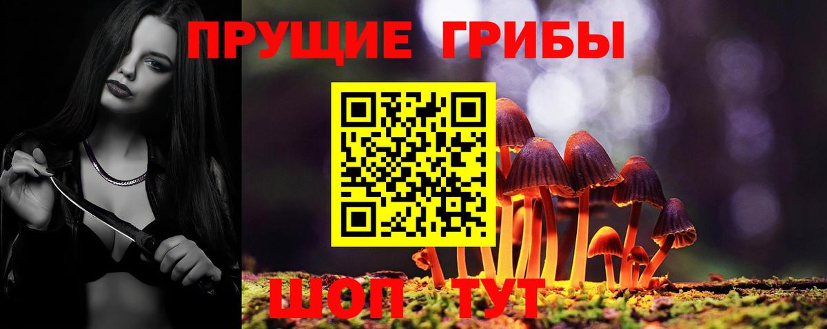 Ногинск  как найти закладки  Вход с VPN  Галлюциногенные грибы MAGIC MUSHROOMS  Галлюциногенные грибы мухоморы 